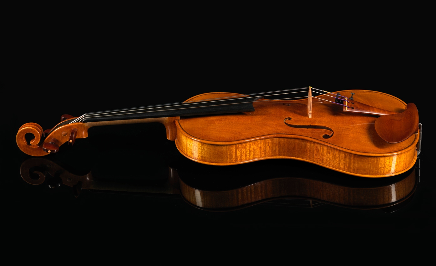 Daniel Ross cornerless violin 4